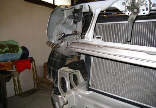 renards  40 