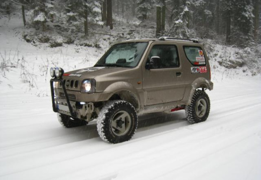 renards  41 