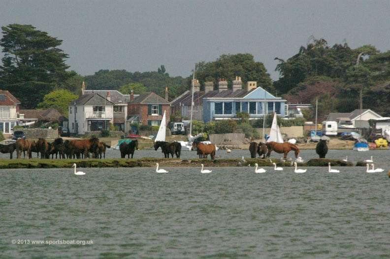 1024-imgp8735 - 1024-imgp8735.jpg 1024-imgp8735.jpg