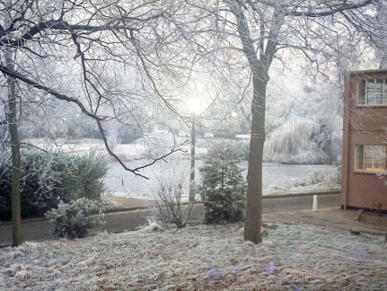 Hoar Frost - December 1978