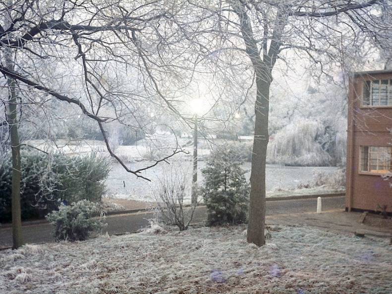 Hoar Frost - December 1978