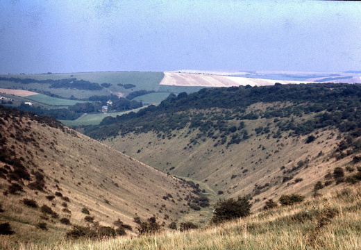 Devils Dyke?