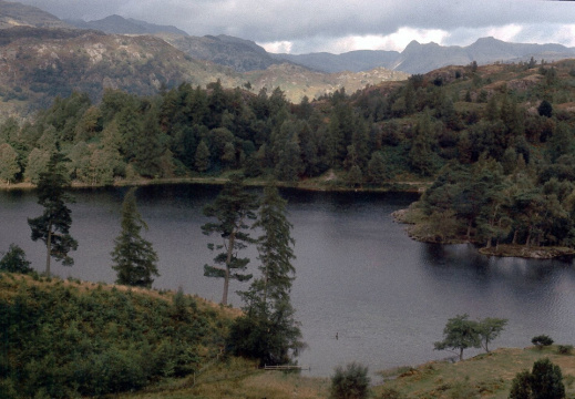Tarn Hows