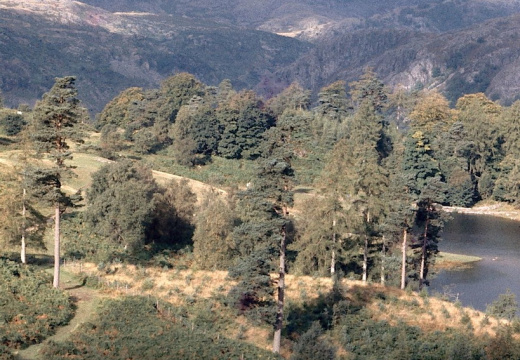 Tarn Hows
