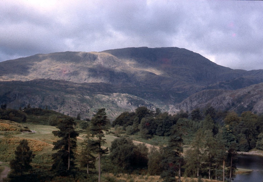 Tarn Hows