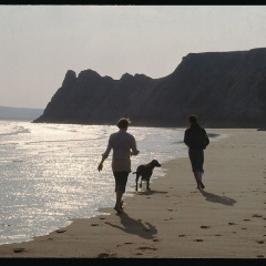 South Wales Camping