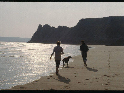 South Wales Camping