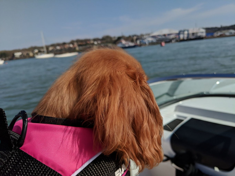 Solent - April 2018 - IMG_20180414_144145.jpg IMG_20180414_144145.jpg