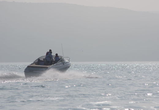 Needles - October 2018