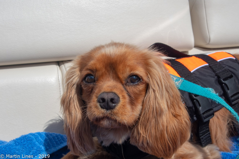 Cowes - May 2019 - Processed-IMGP22665.jpg Processed-IMGP22665.jpg