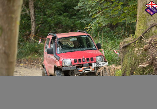 Processed-8A0A03181178