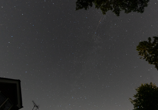 Perseid August 2021