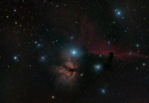 Horsehead and Flame Nebula