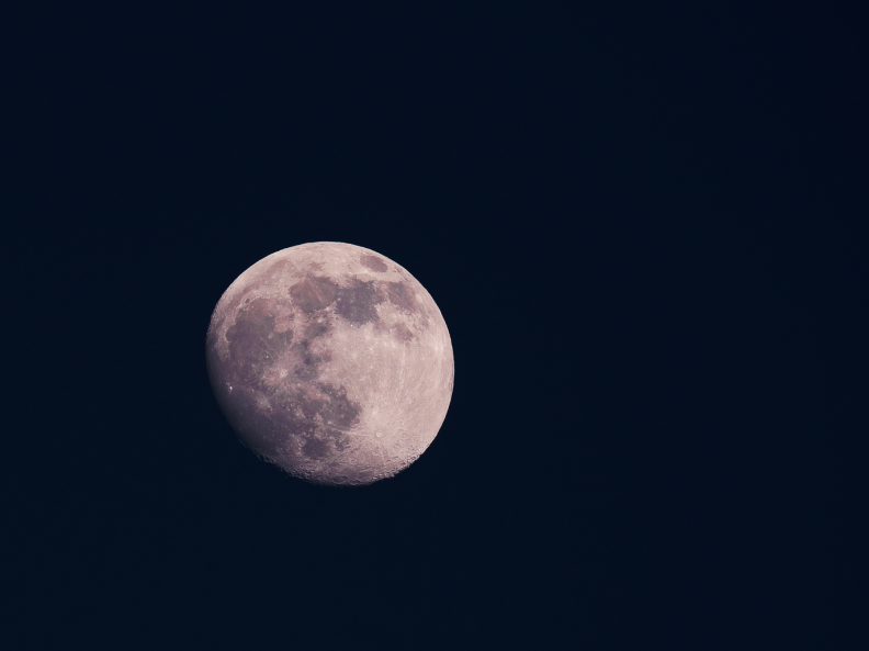 IMGP3563-2