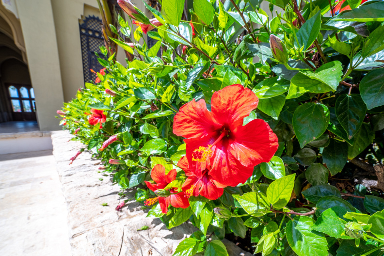 Mazagan Beach Resort, El Jadida Morocco Processed-IMGP390119.jpg