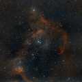 Sharpless 2-199 (Soul Nebula) - internet.jpg