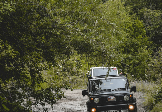 23588 sized DSC 0622 Rosie Ranson 1365x2048