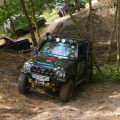 hogmoor4