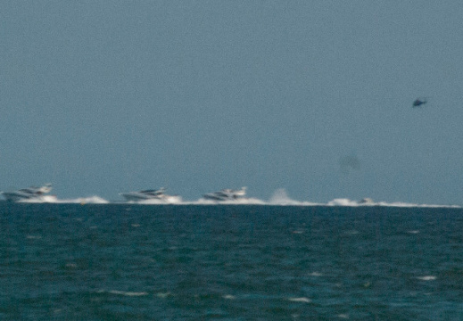 IMGP8692