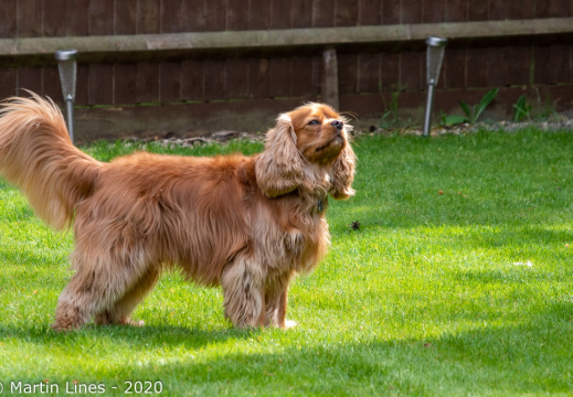 Processed-IMGP498310