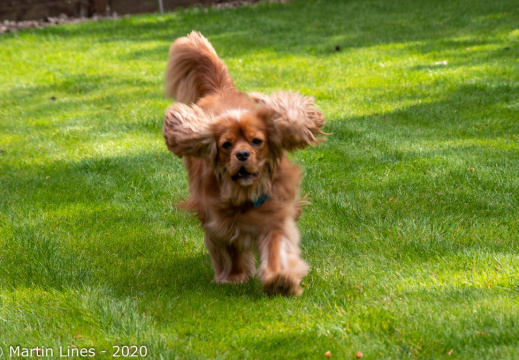 Processed-IMGP498411