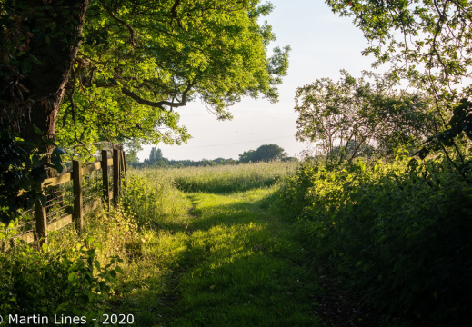 Processed-IMGP53298