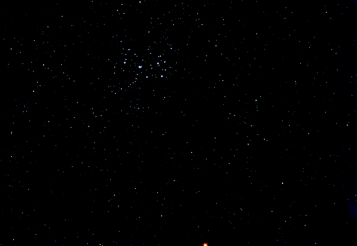 Full stars