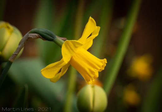 Processed-IMGP2636-Edit2