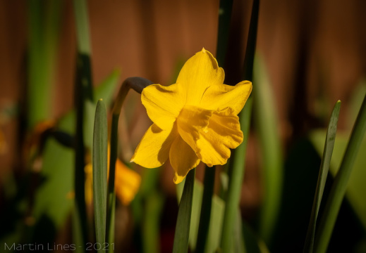 Processed-IMGP2652-Edit7