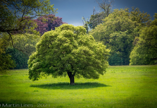Processed-IMGP6864-Edit1