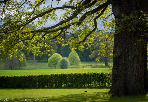Processed-IMGP6877-Edit8