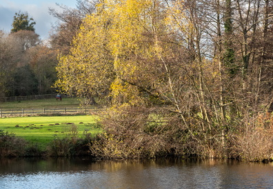 Processed-IMGP03774