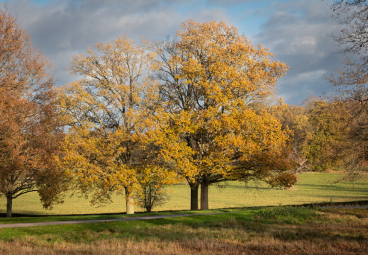 Processed-IMGP039215