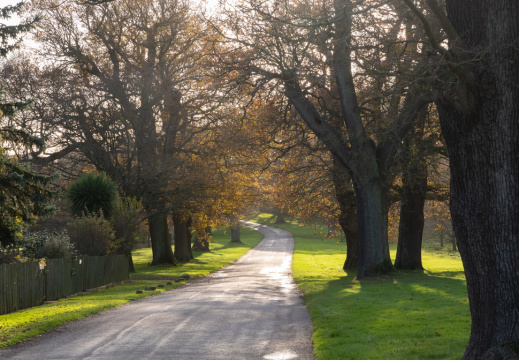 Processed-IMGP039316