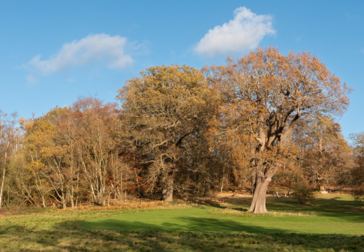 Processed-IMGP039618