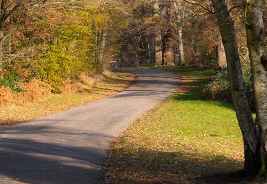 Processed-IMGP039719