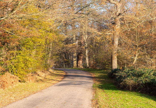 Processed-IMGP039820