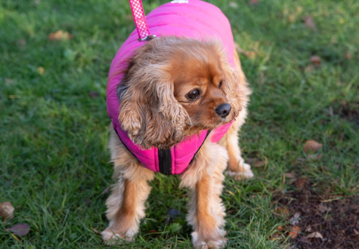 Processed-IMGP040321