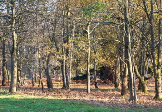 Processed-IMGP040623