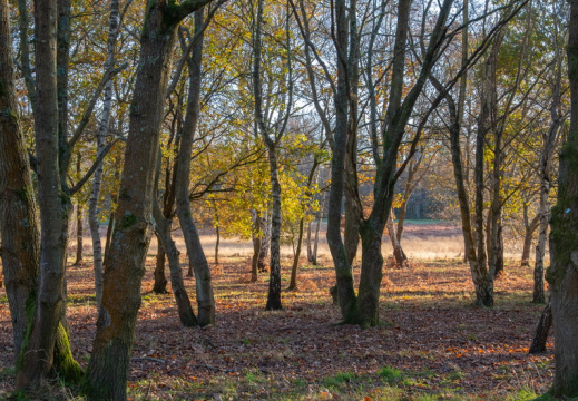 Processed-IMGP040724