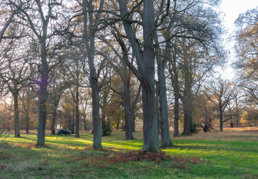 Processed-IMGP041229