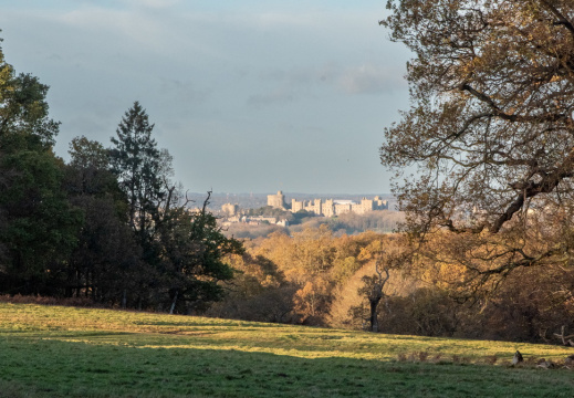 Processed-IMGP041935