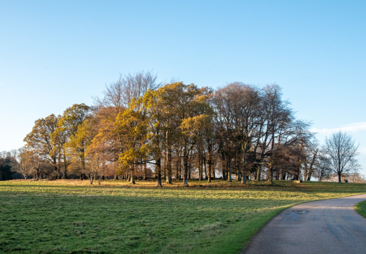 Processed-IMGP042136