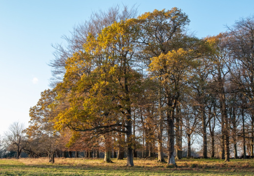 Processed-IMGP042338