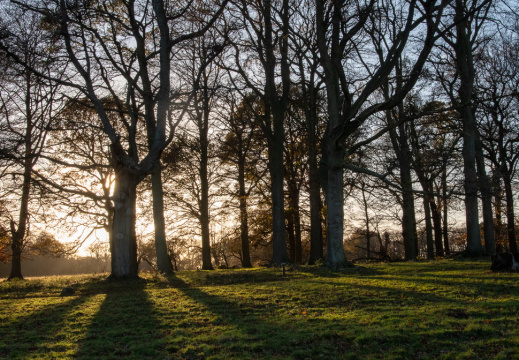 Processed-IMGP042540