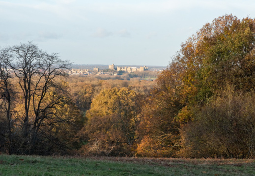 Processed-IMGP042641