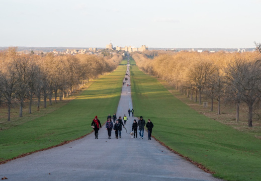 Processed-IMGP042742