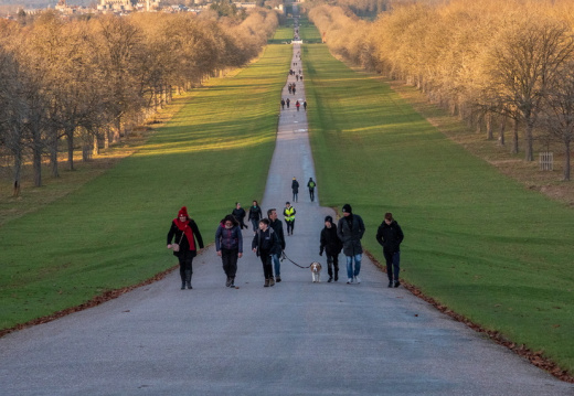 Processed-IMGP042843