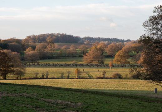 Processed-IMGP043244