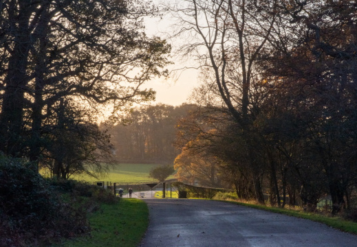 Processed-IMGP043545